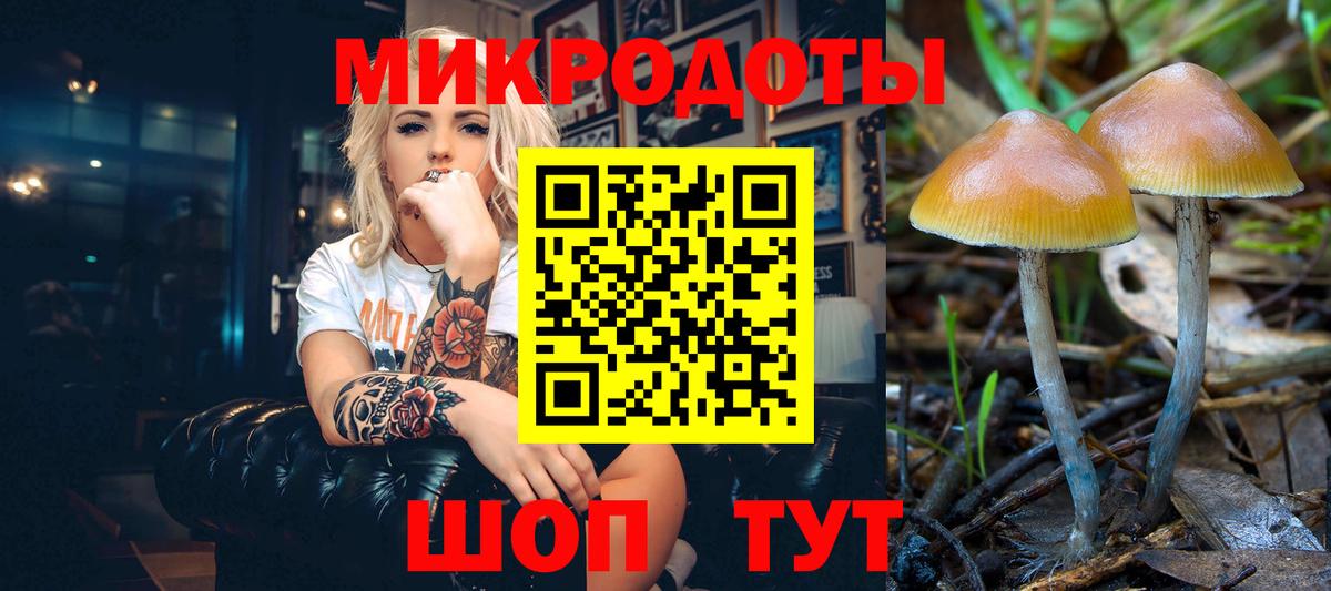 Партизанск  наркошоп  Вход с VPN  Псилоцибиновые грибы прущие грибы 