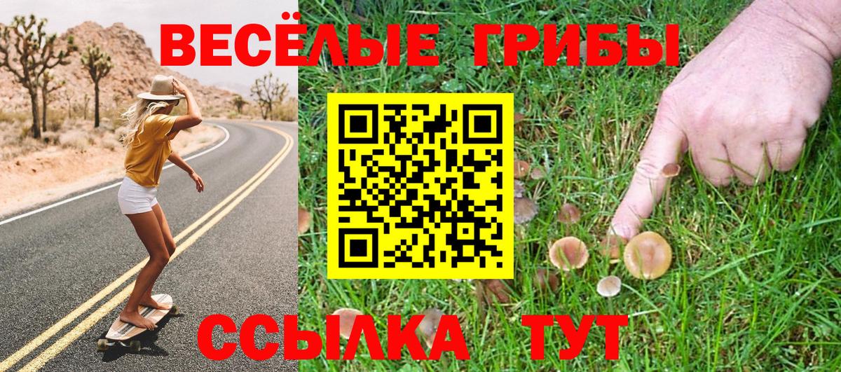 Галлюциногенные грибы мицелий Партизанск